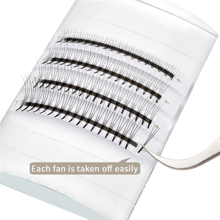 premade fans lashes 3D.jpg